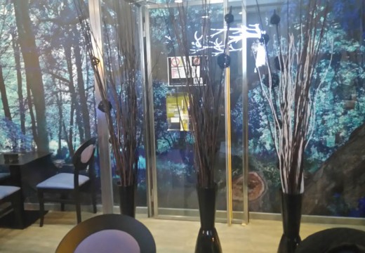 Bosque Azul